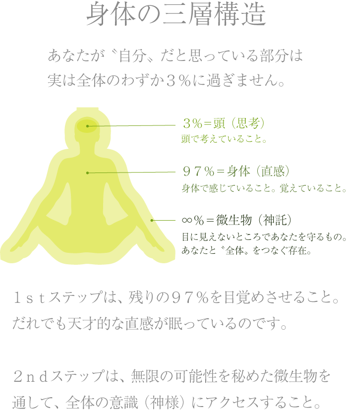 身体の三層構造