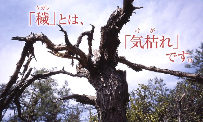 「穢」とは、気枯れ