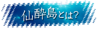 仙酔島とは？